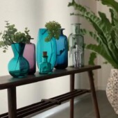 飾られた植物の画像