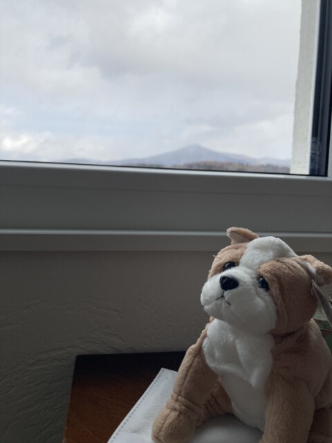 姫神山を望む家|岩手で平屋を建てるなら大共ホームの画像