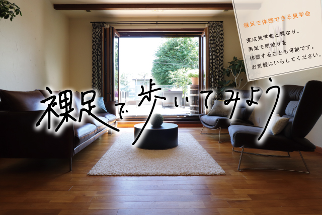 2023/12/hadasi.jpgの画像