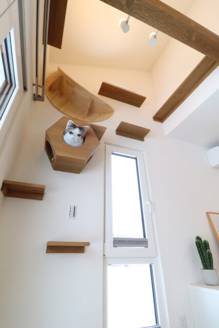 キャットステップ｜盛岡市で高断熱高気密新築一戸建てを考えるなら大共ホームの画像