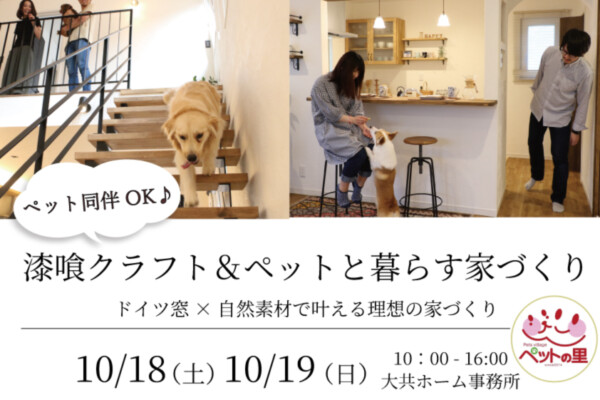 漆喰クラフト＆ペットと暮らす家づくり｜Ua値0.15の高断熱高気密注文住宅大共ホームの画像