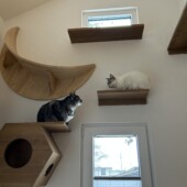 愛猫ファーストな大屋根の家｜滝沢市注文住宅大共ホームの画像