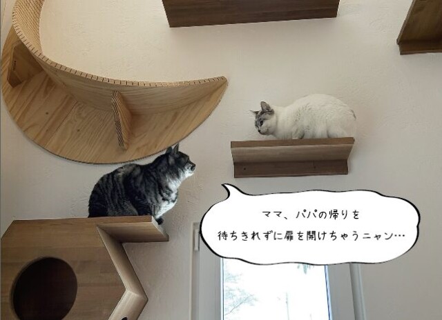 愛猫ファーストのインナーガレージのある家 キャットウォーク|大共ホームの画像