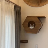 愛猫ファーストのインナーガレージのある家 キャットステップ　|大共ホームの画像
