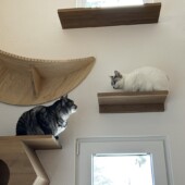 暮らし始めて1年の 住み心地インタビュー｜H様邸の画像