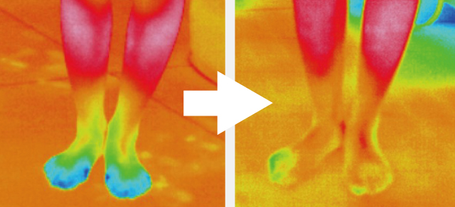 床暖冷え性比較|Ua値0.23の高断熱高気密注文住宅大共ホームの画像