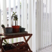 ウィンターガーデンの家　植物｜岩手県で高断熱高気密注文住宅を考えるなら大共ホームの画像