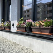 窓廻りを華やかに｜盛岡市で平屋をお考えの方は高断熱高気密注文住宅の大共ホームの画像