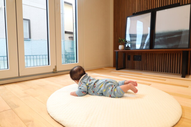 2025/10/6bb064e7cffaa9aca5d50b4520554c14-e1762151927573.jpgの画像