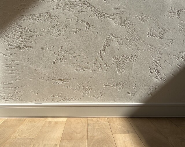 蓄熱性があるスペイン漆喰｜岩手県で高断熱高気密注文住宅を考えるなら大共ホームの画像