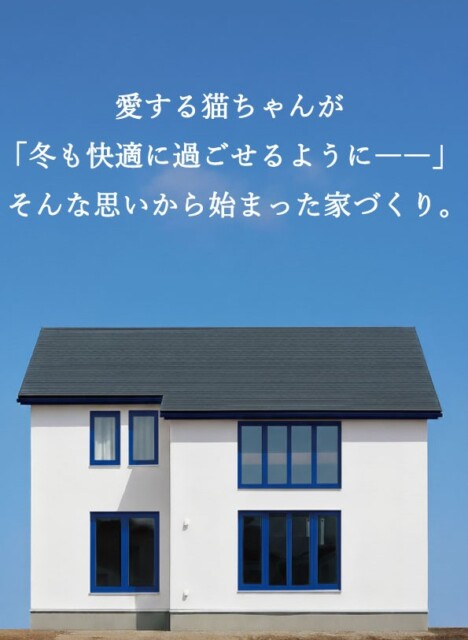 猫と暮らす家｜盛岡市で高断熱新築一戸建てを考えるなら大共ホームの画像