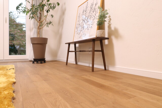 2025/12/36d02b962a4c6133dcc082617d6da01b-e1766228673806.jpgの画像