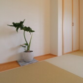 和室ディスプレイ｜大共ホームの平屋の画像