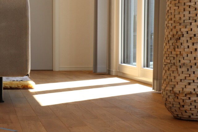 2025/12/IMG_8854-e1765072954198.jpgの画像