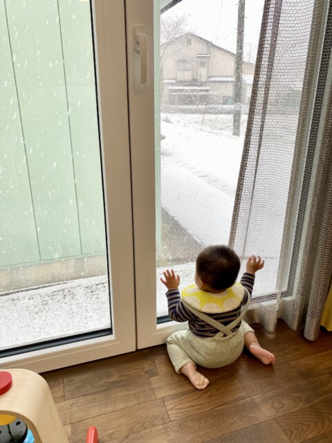 2025/12/a88b30953efbe2d101bd05f878e472c1-e1767771786356.jpgの画像