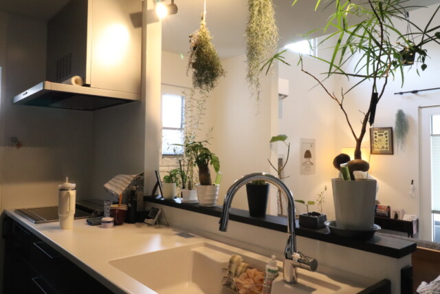 2026/03/6-e1773284070163.jpgの画像