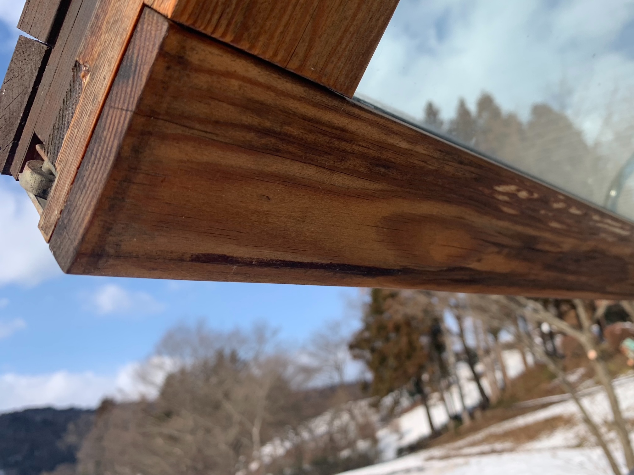 sites/2/2026/01/61eac78cdcc62f97f28ea175202c5477.jpgの画像