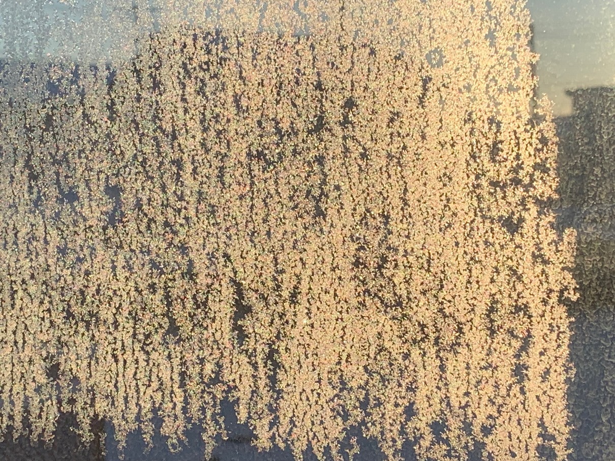 sites/2/2026/01/82505a7f9a8b713f4492516bc0586480.jpgの画像