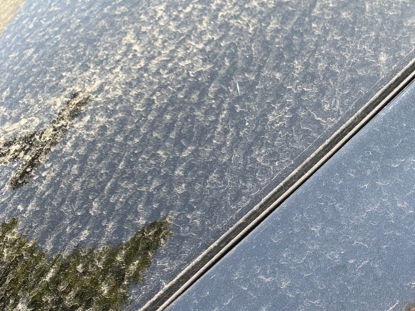 sites/2/2026/04/037ccaaa8d253d08042a122dd8caf299.jpgの画像