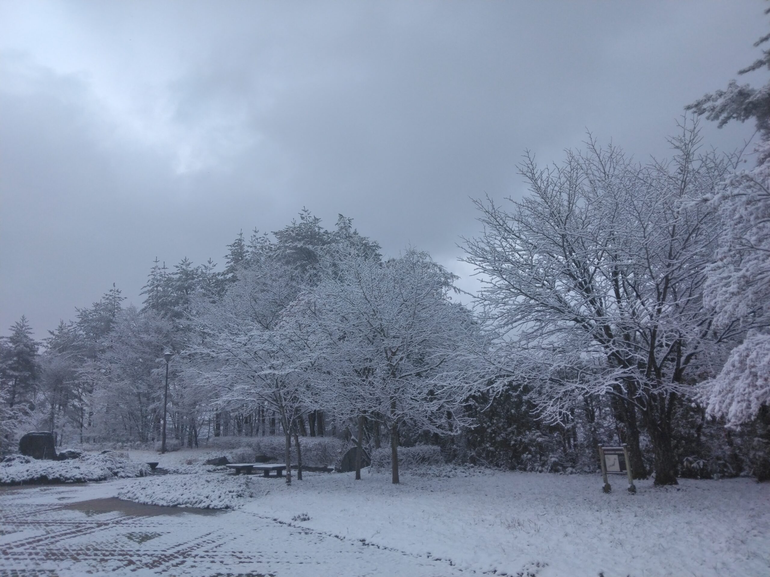 sites/7/2025/11/IMG_20241204_111827-scaled.jpgの画像