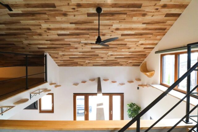 猫と暮らす家｜岩手県で高断熱高気密注文住宅を考えるなら大共ホームの画像